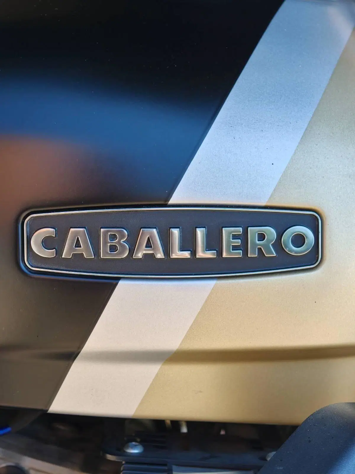 Fantic Motor Caballero 500 Scrambler Deluxe (2021 - 23) (16)