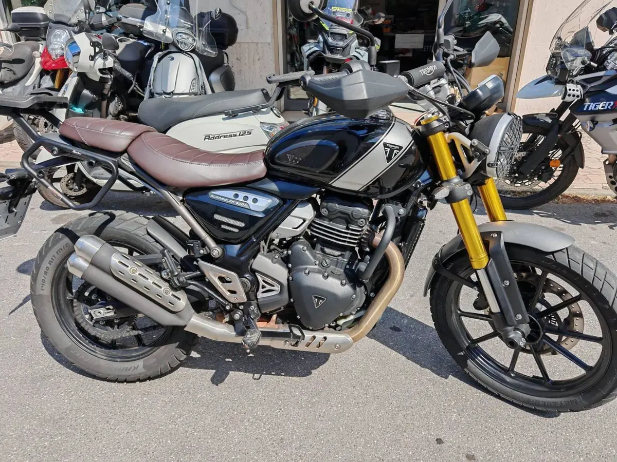 Triumph Scrambler 400 X (2024 - 26) (2)