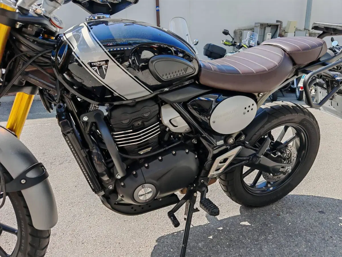 Triumph Scrambler 400 X (2024 - 26) (6)