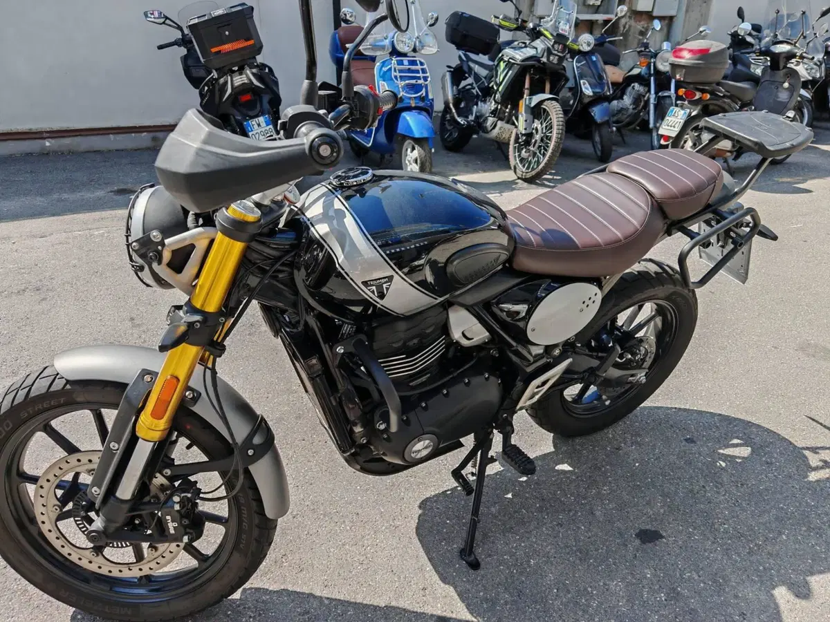 Triumph Scrambler 400 X (2024 - 26) (7)