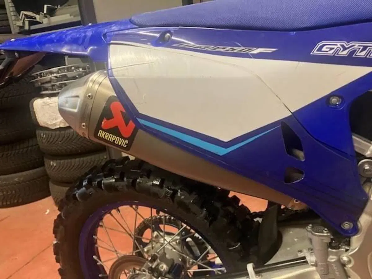 Yamaha WR 250 F (2025) (9)