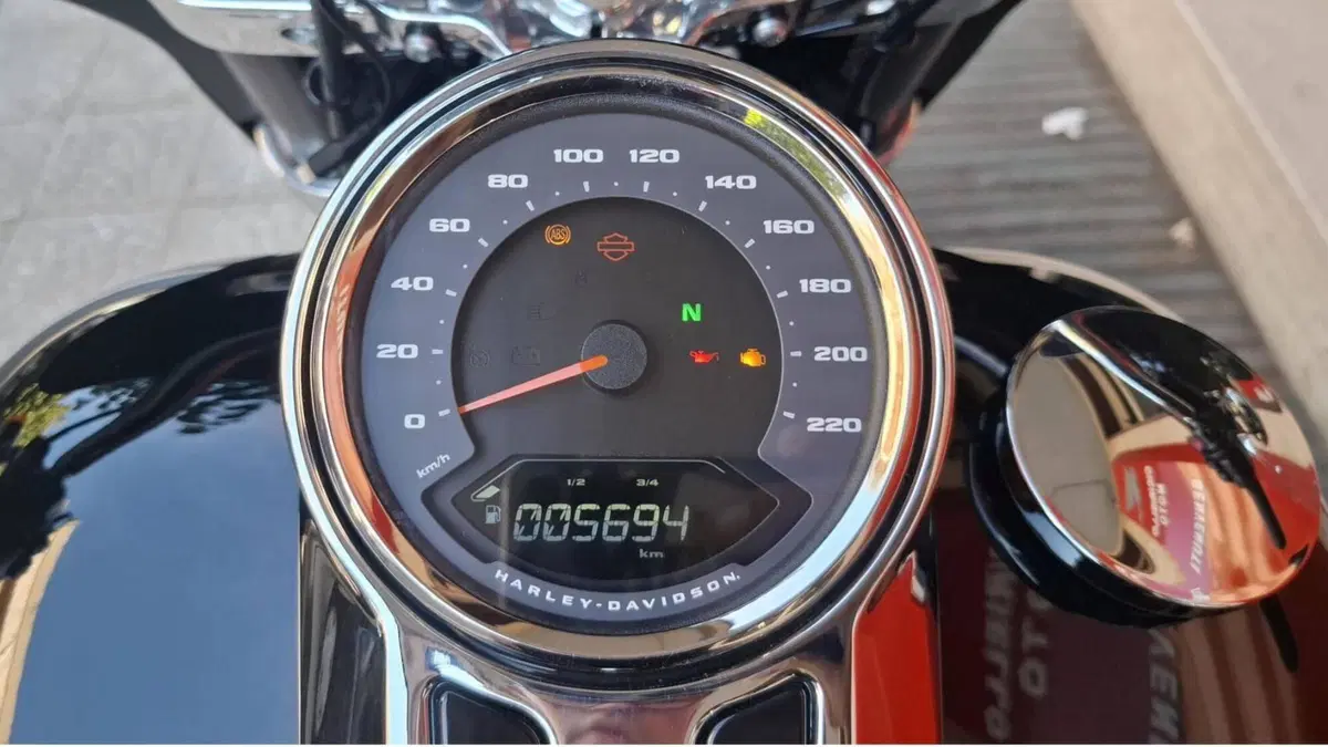 Harley-Davidson Sport Glide (2021 - 25) (3)