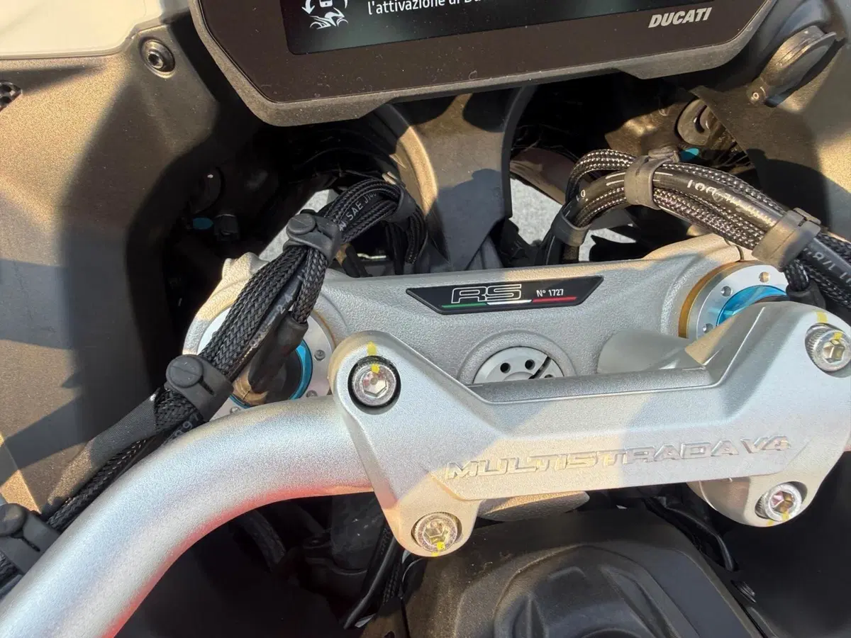 Ducati Multistrada V4 RS (2024 - 25) (5)