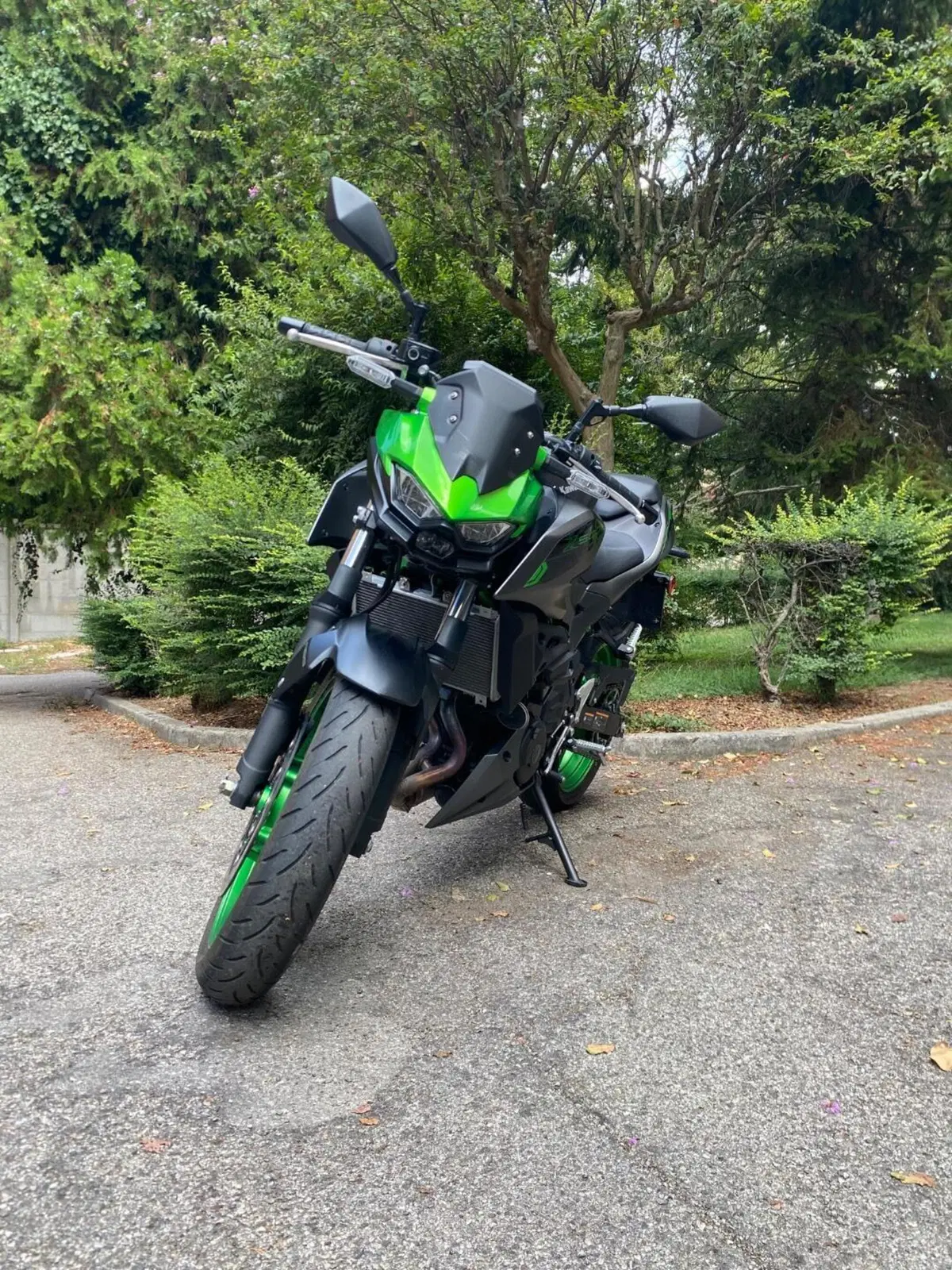 Kawasaki Z 500 SE (2024 - 26)