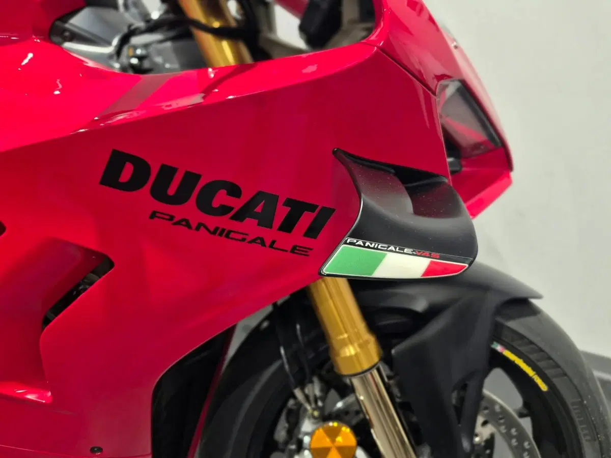 Ducati Panigale V4 S (2022 - 24) (4)