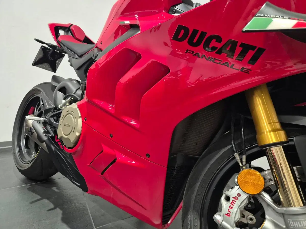 Ducati Panigale V4 S (2022 - 24) (6)