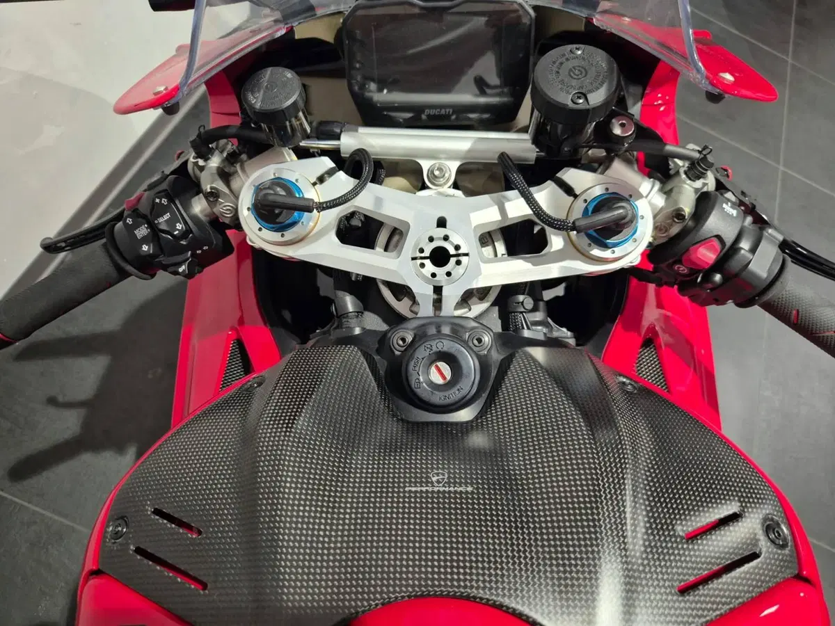 Ducati Panigale V4 S (2022 - 24) (16)