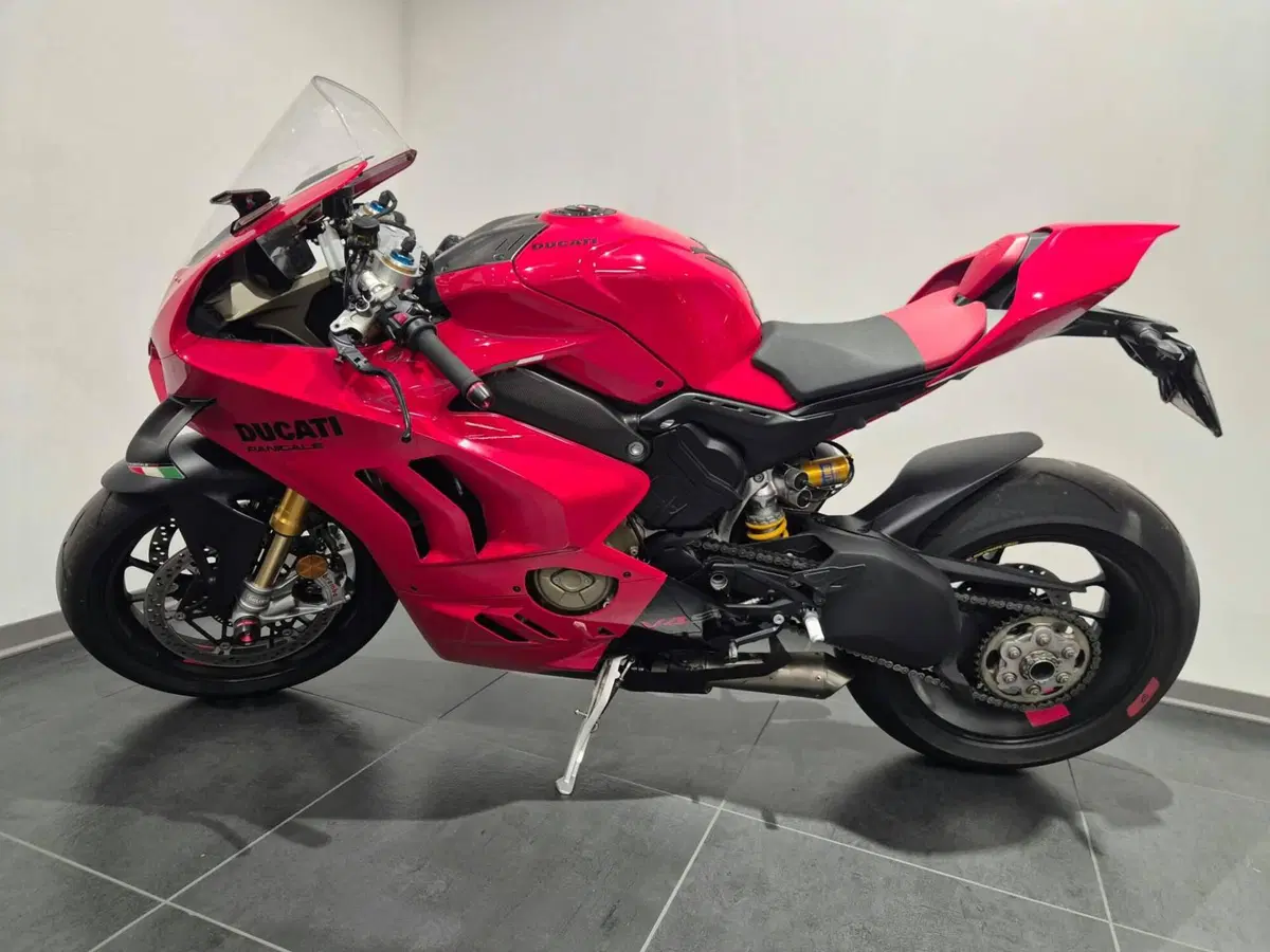 Ducati Panigale V4 S (2022 - 24) (7)