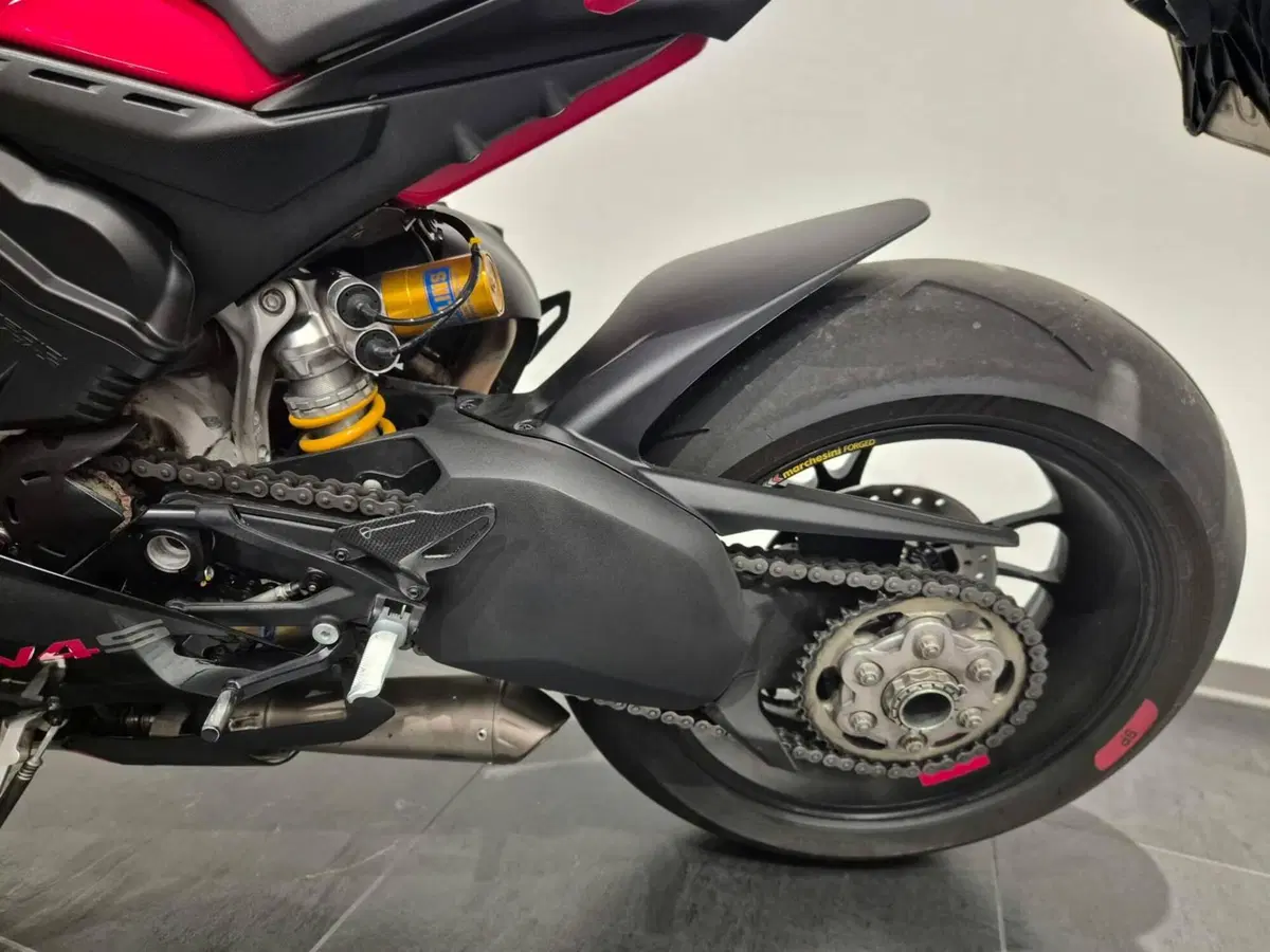 Ducati Panigale V4 S (2022 - 24) (18)