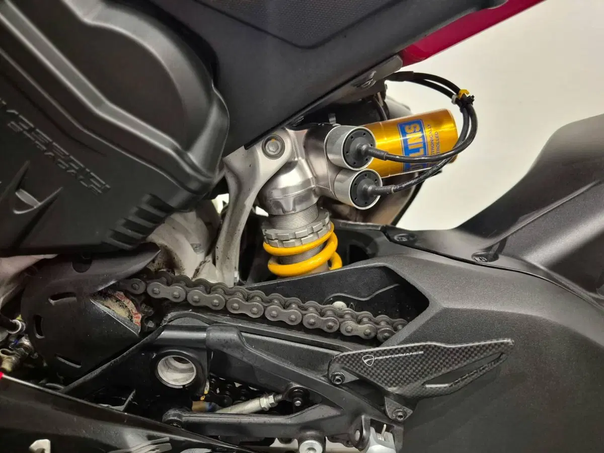 Ducati Panigale V4 S (2022 - 24) (19)