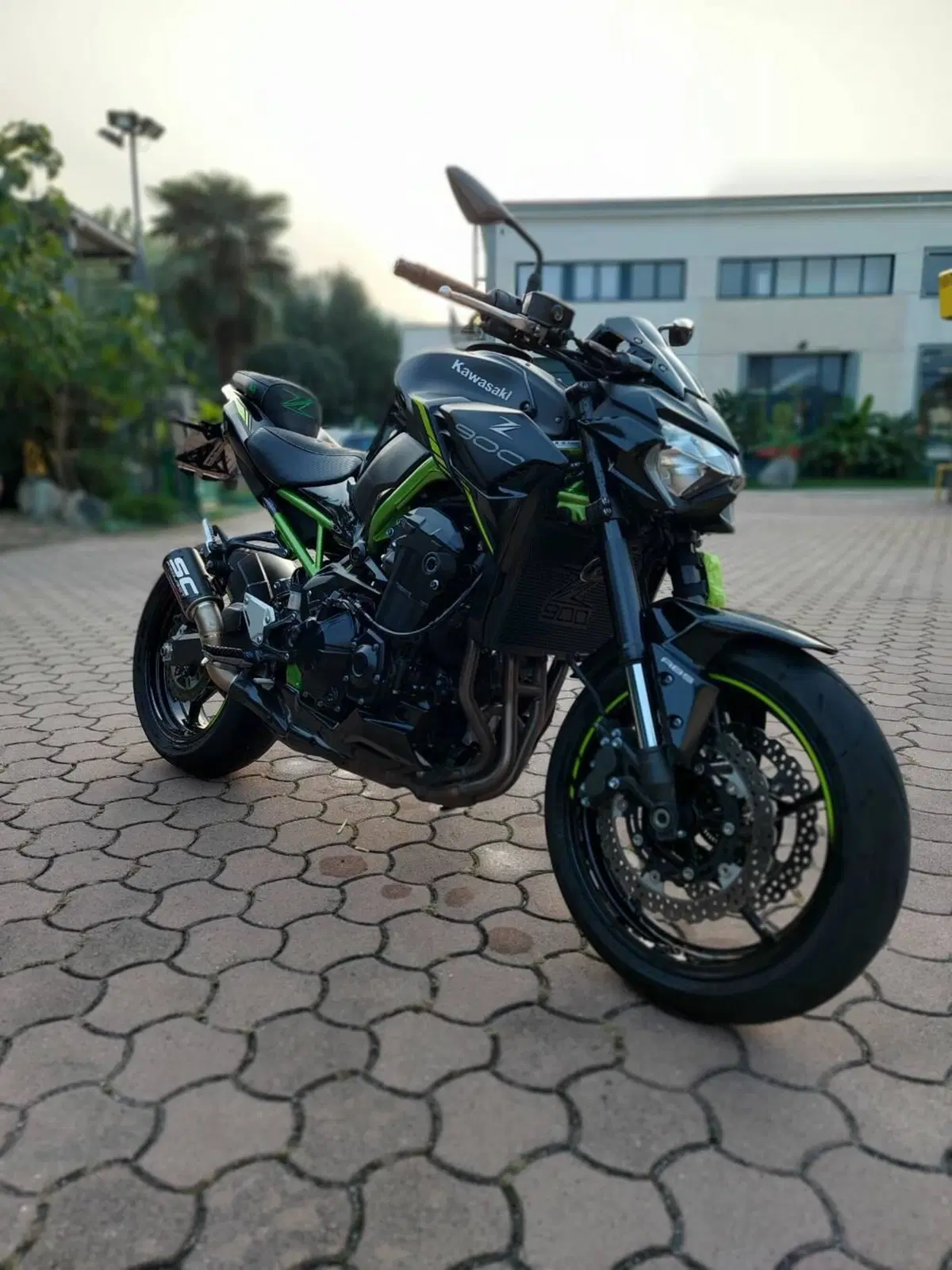 Kawasaki Z 900 A2 (2021 - 24) (2)