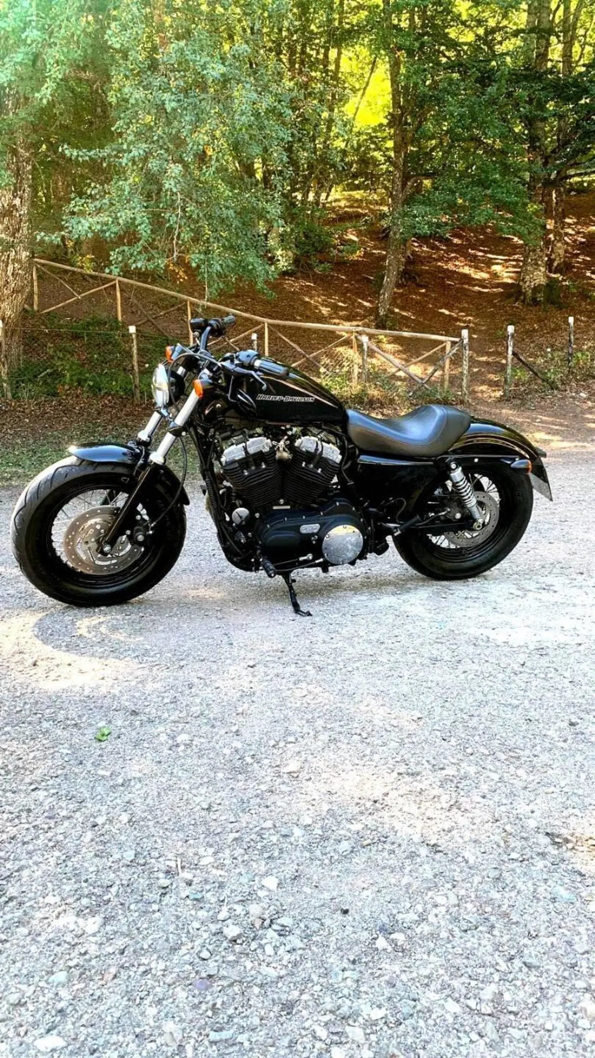 Harley-Davidson 1200 Forty-Eight (2010 - 15)