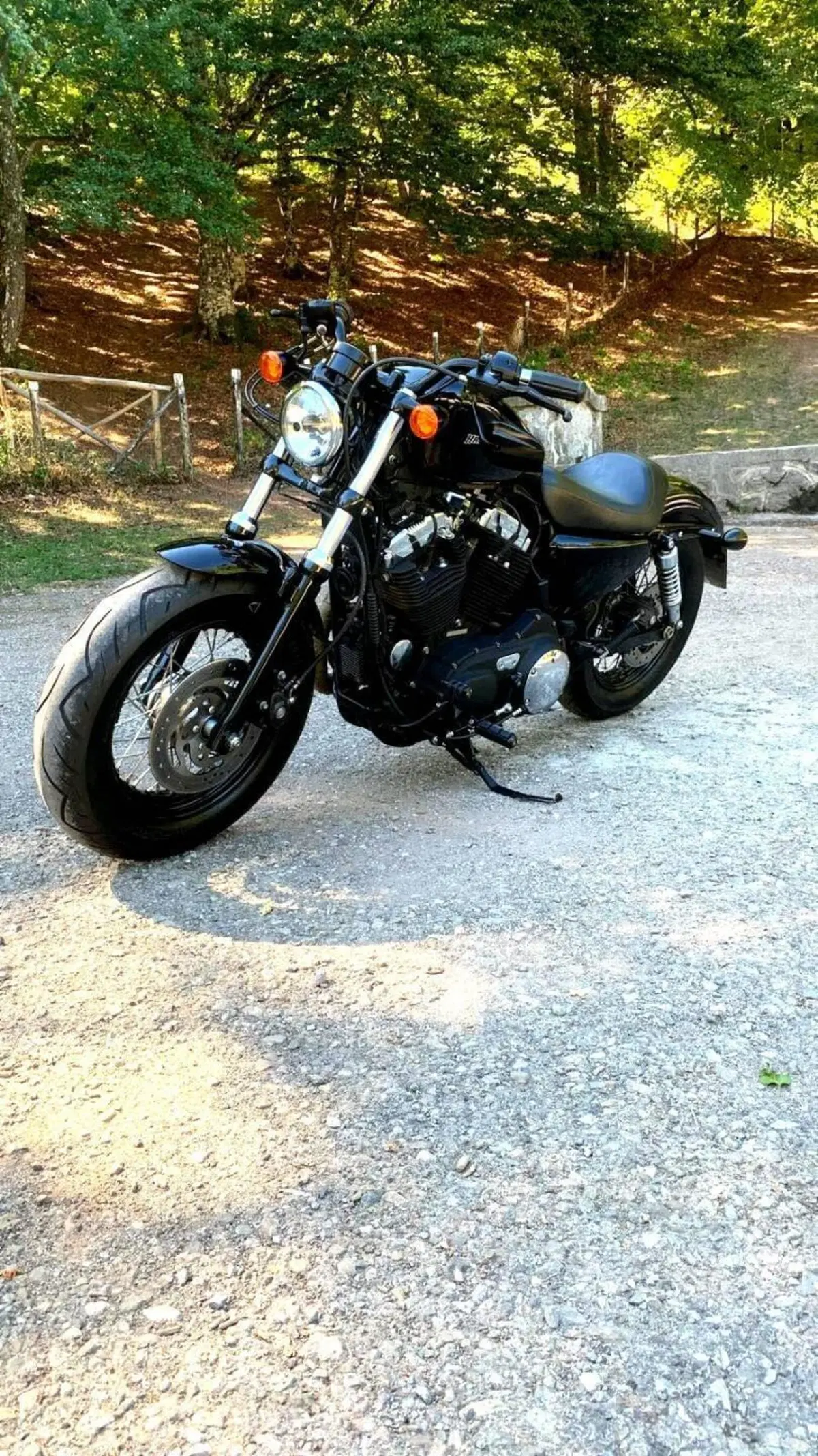 Harley-Davidson 1200 Forty-Eight (2010 - 15) (2)