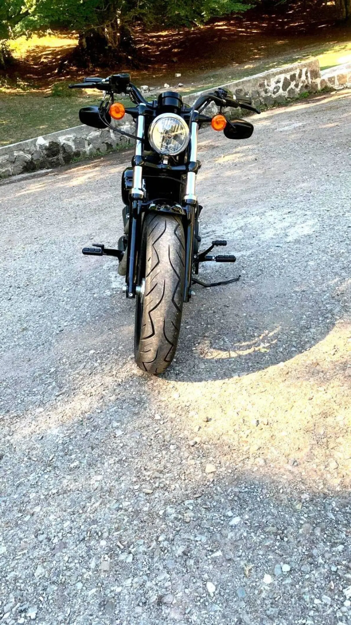 Harley-Davidson 1200 Forty-Eight (2010 - 15) (3)