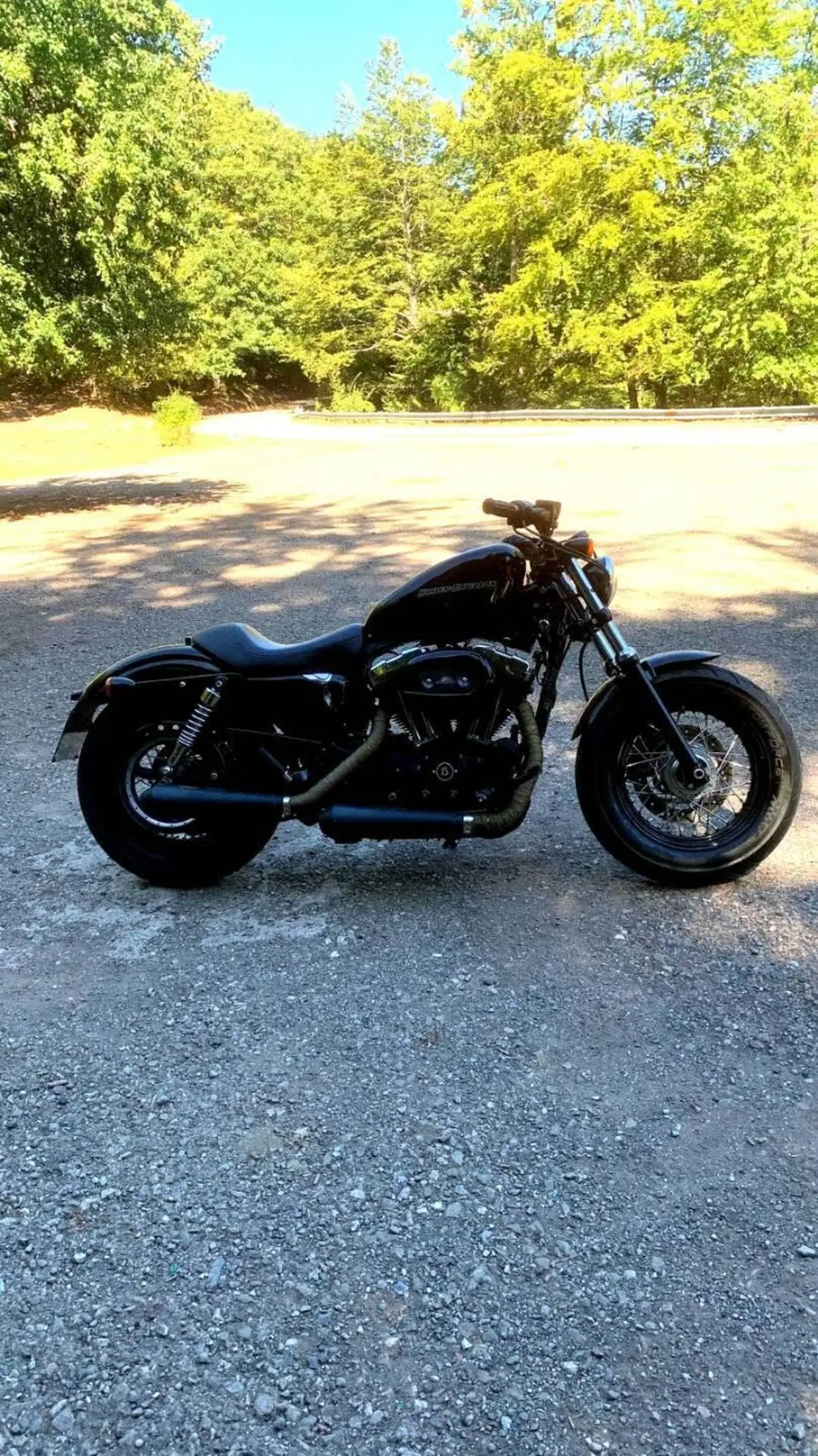 Harley-Davidson 1200 Forty-Eight (2010 - 15) (4)