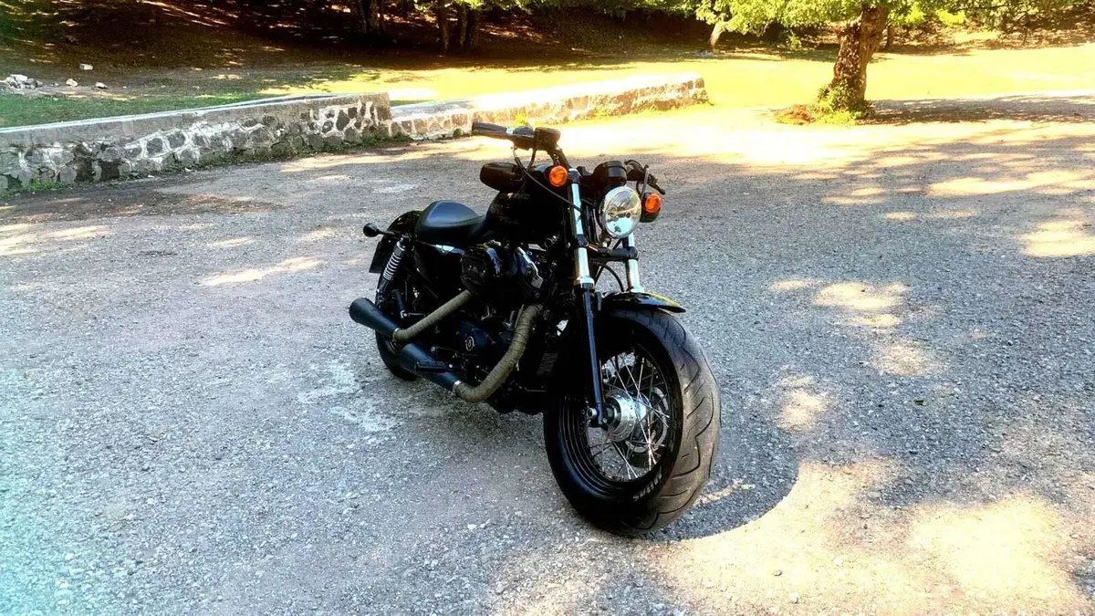 Harley-Davidson 1200 Forty-Eight (2010 - 15) (6)
