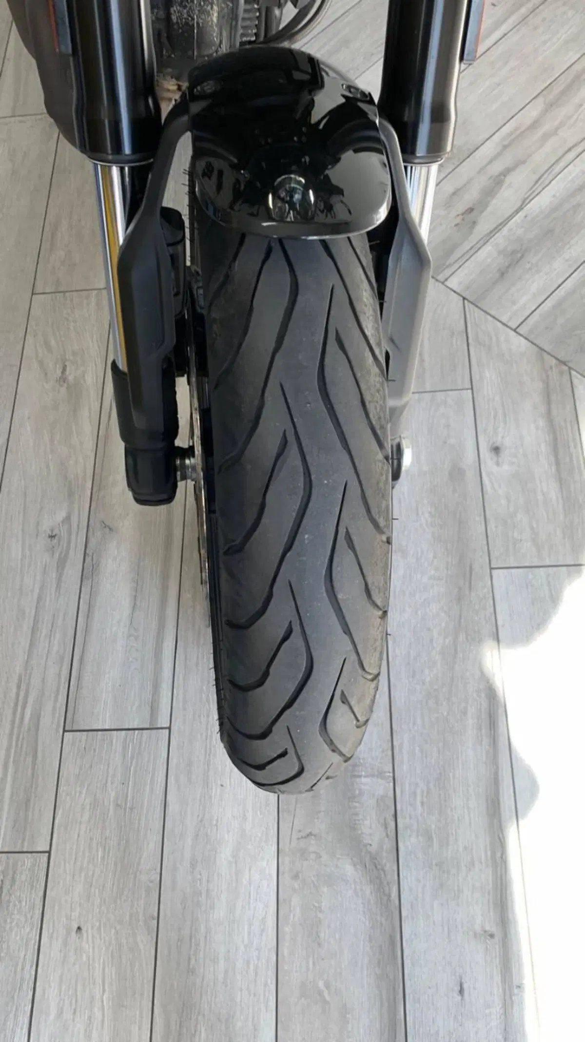 Ducati Scrambler 1100 Pro (2020 - 22) (2)
