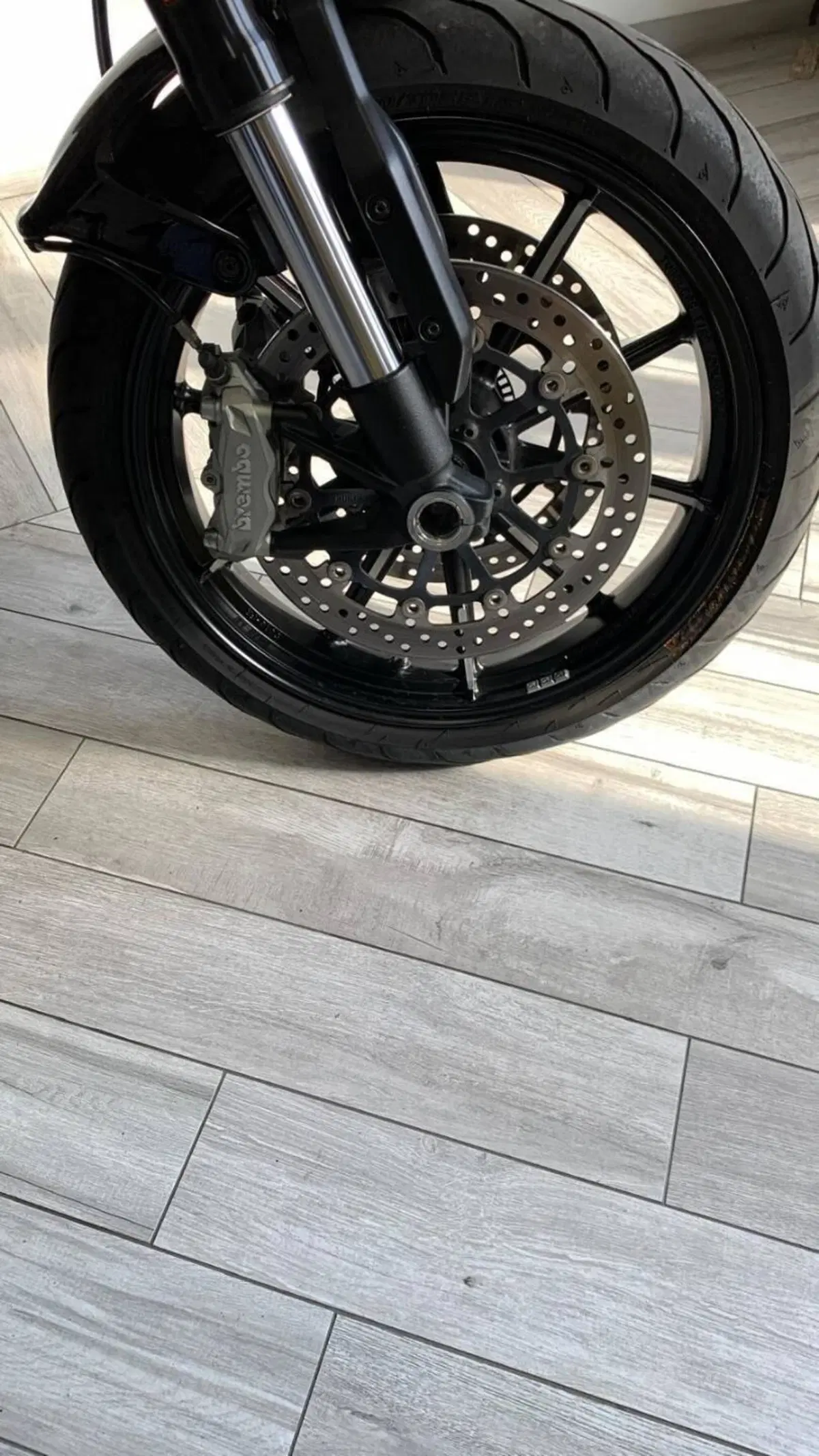 Ducati Scrambler 1100 Pro (2020 - 22) (7)