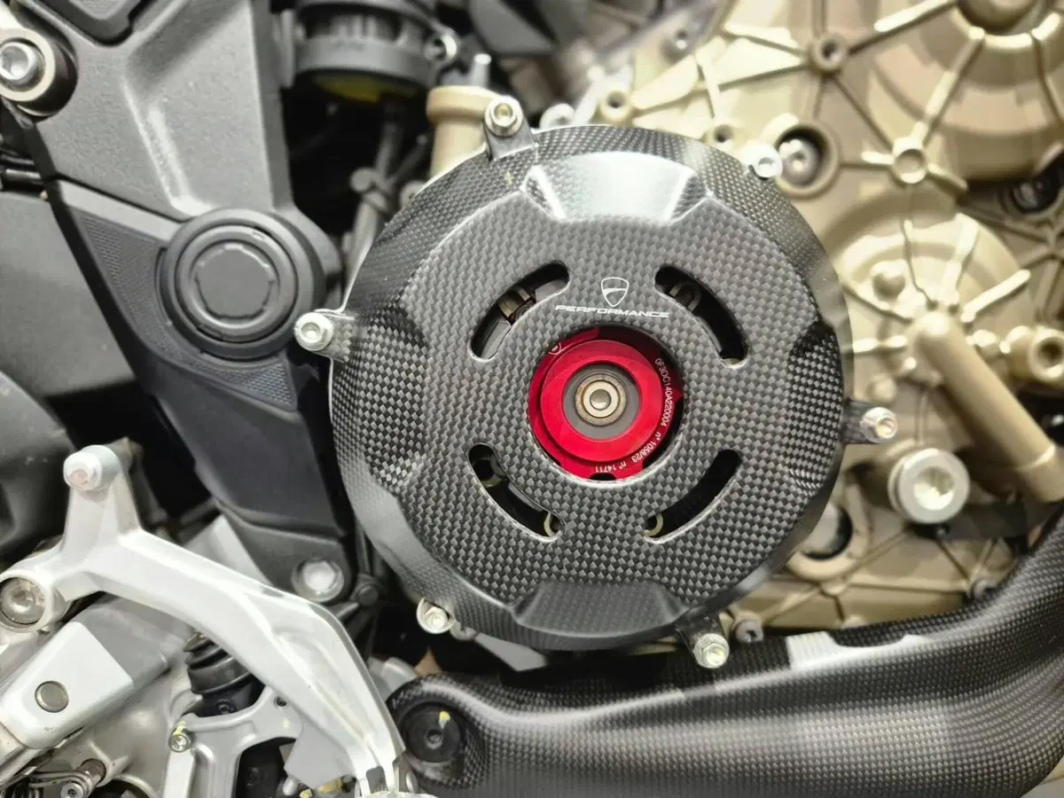 Ducati Multistrada V4 RS (2024 - 25) (7)