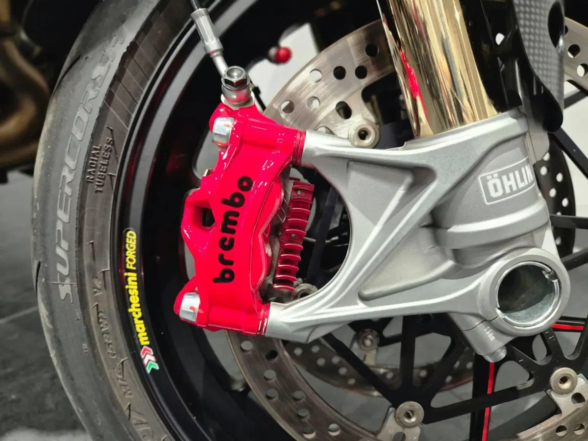 Ducati Multistrada V4 RS (2024 - 25) (17)