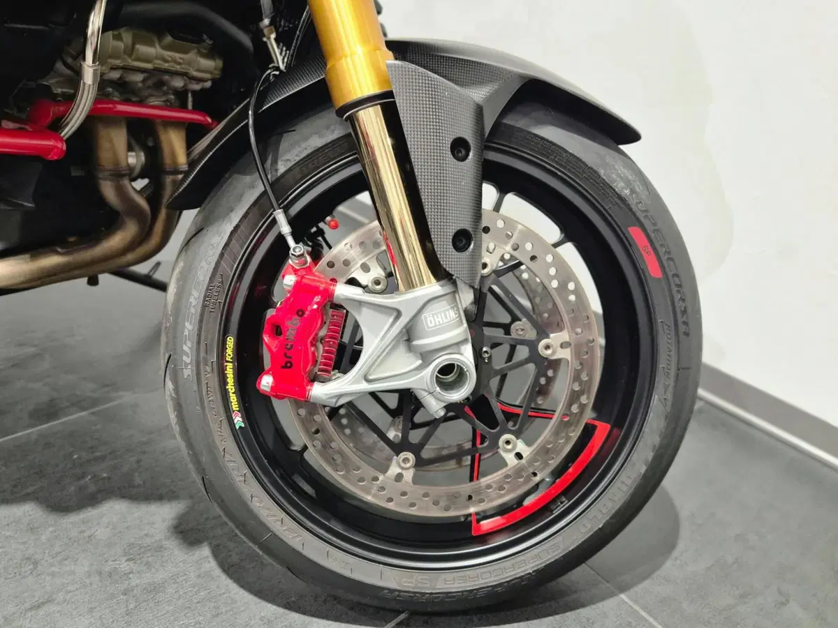 Ducati Multistrada V4 RS (2024 - 25) (18)