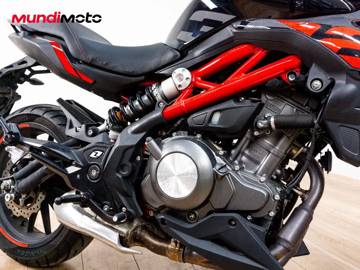 Benelli BN 302 S (2019 - 20) (5)