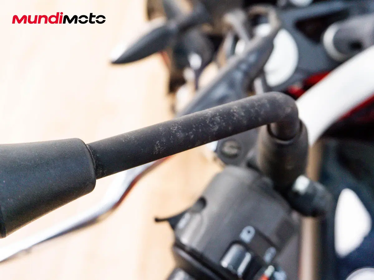 Benelli BN 302 S (2019 - 20) (19)