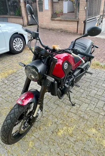 Benelli Leoncino 500 ABS (2017 - 20) usata