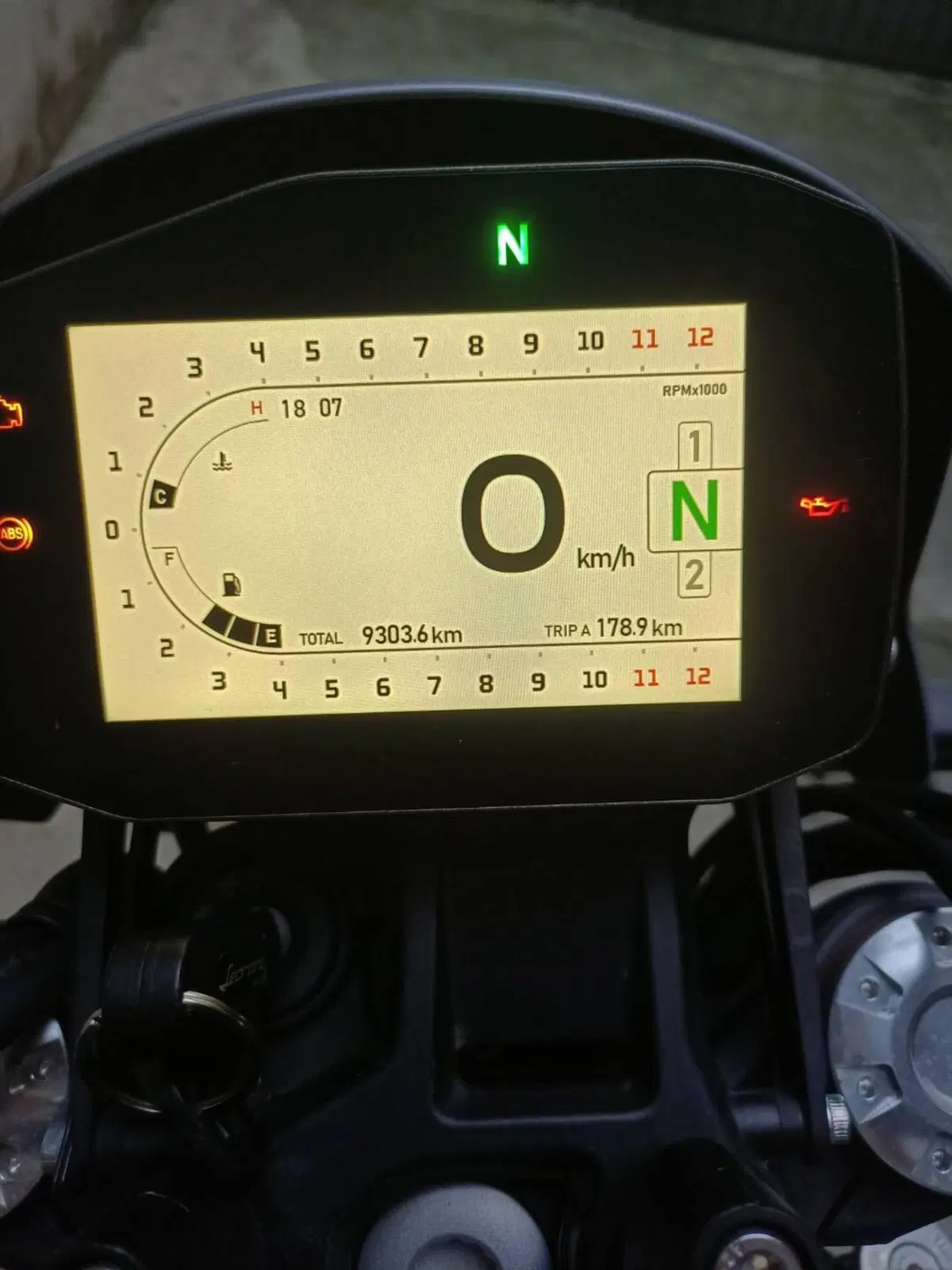 Benelli Leoncino 800 Trail (2022 - 26) (3)