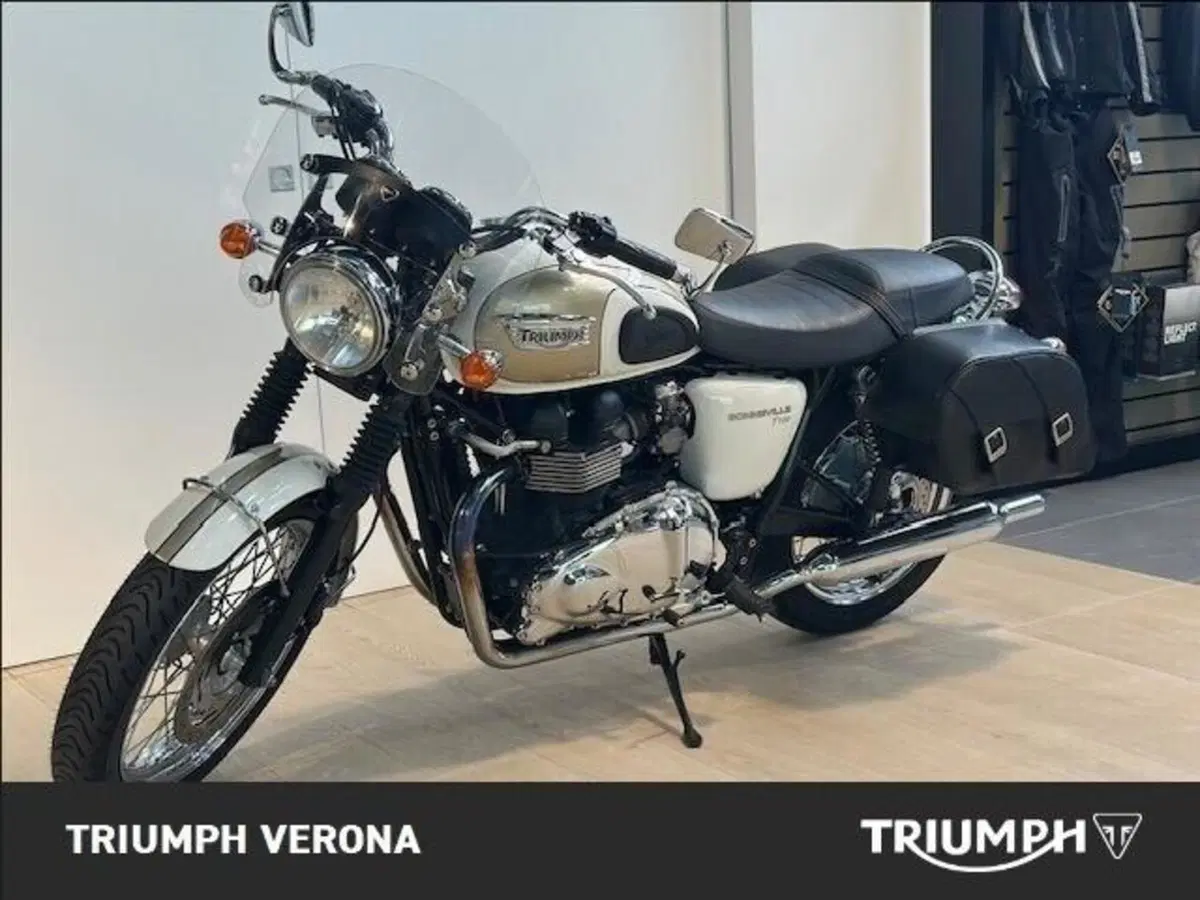Triumph Bonneville T100 (2008 - 16) (13)