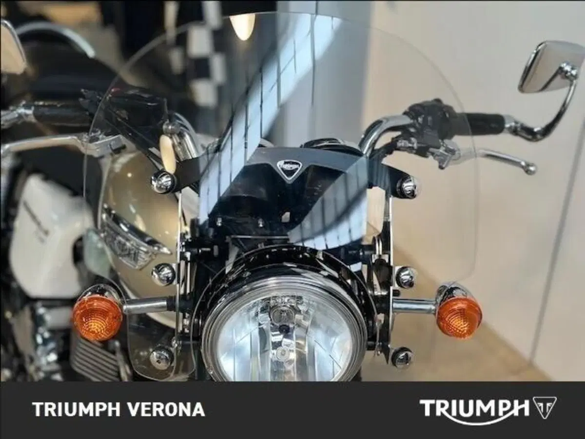 Triumph Bonneville T100 (2008 - 16) (3)