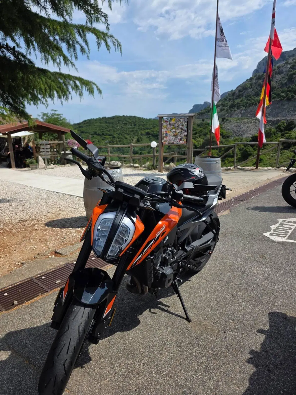KTM 790 Duke L (2023 - 24) (3)