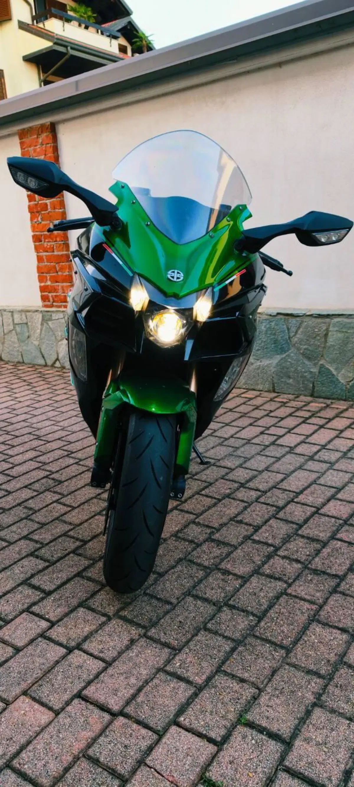 Kawasaki Ninja H2 SX SE (2018 - 20) (2)