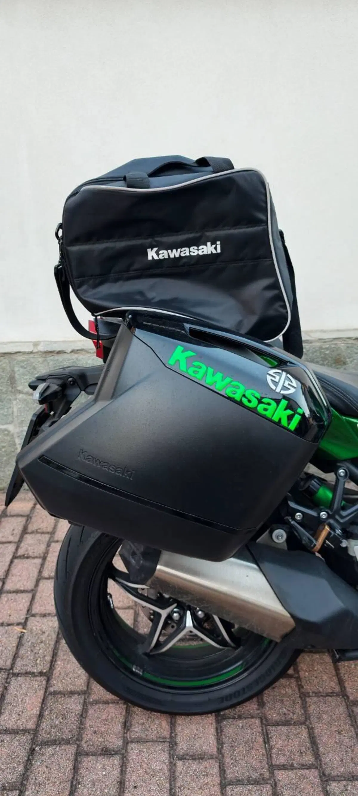 Kawasaki Ninja H2 SX SE (2018 - 20) (5)