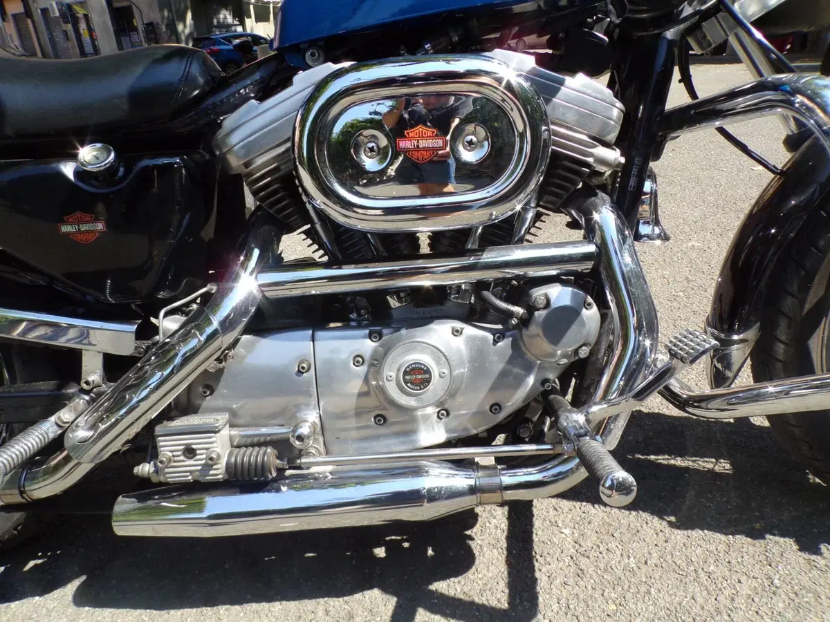 Harley-Davidson 883 Standard (1987 - 93) - XLH (10)