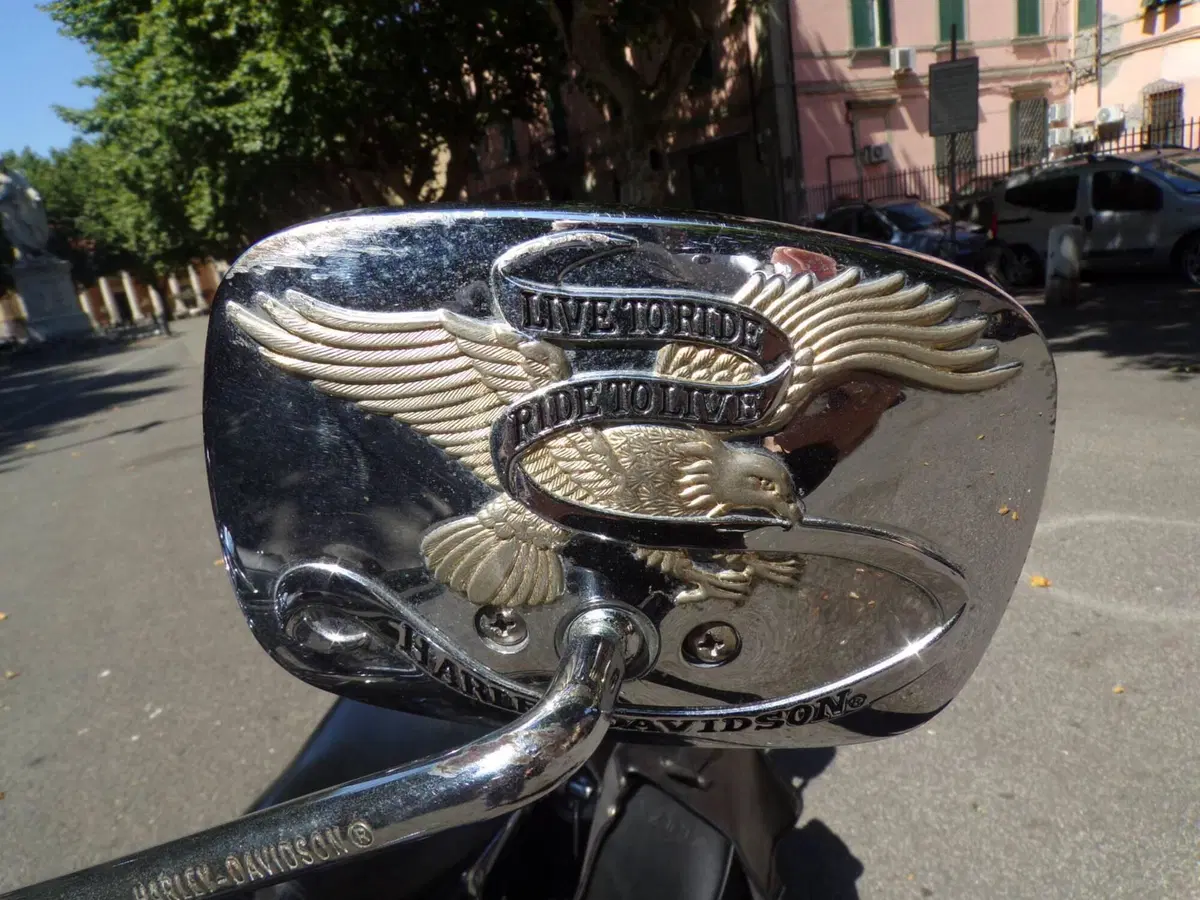 Harley-Davidson 883 Standard (1987 - 93) - XLH (12)