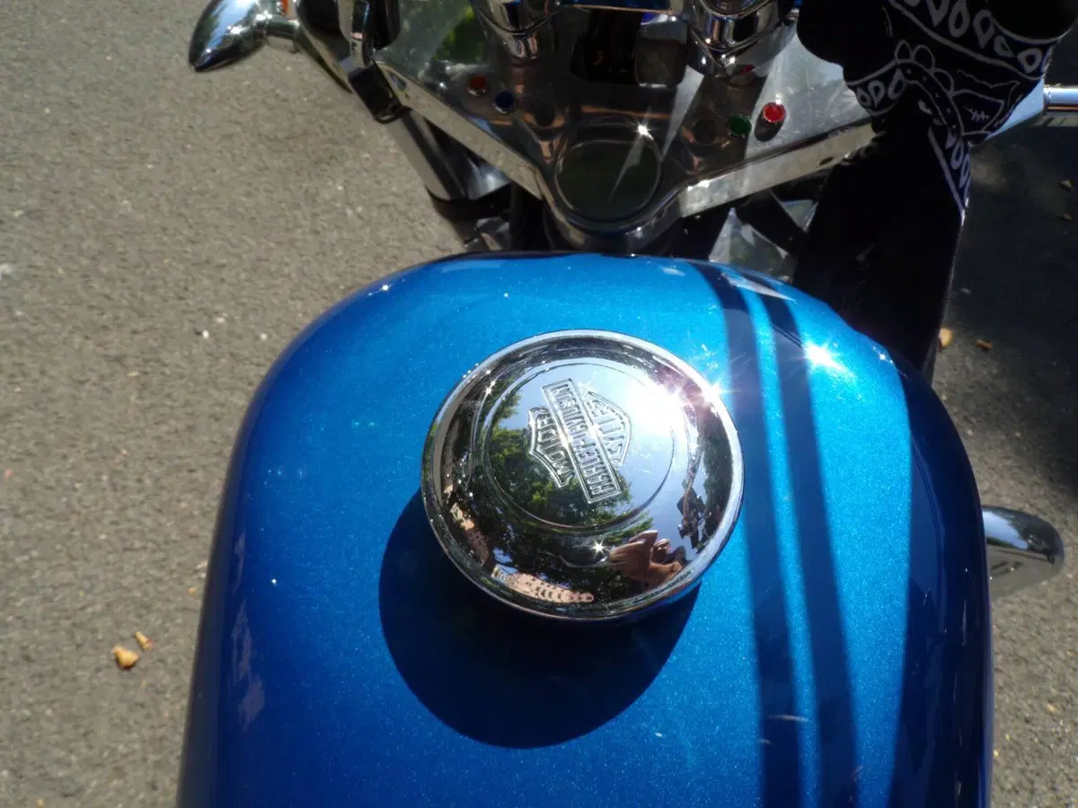Harley-Davidson 883 Standard (1987 - 93) - XLH (15)