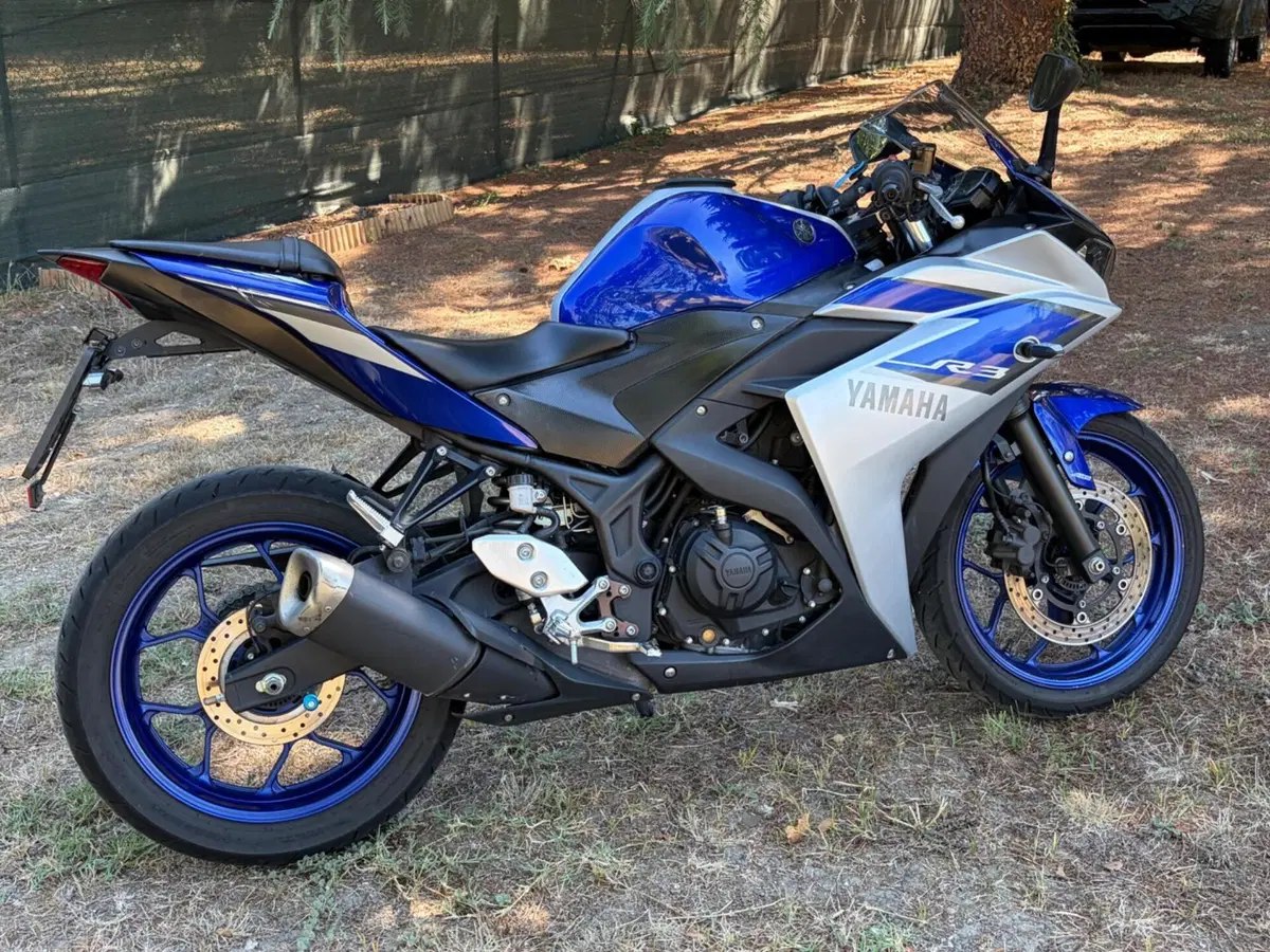 Yamaha YZF R3 (2015 - 17) (2)