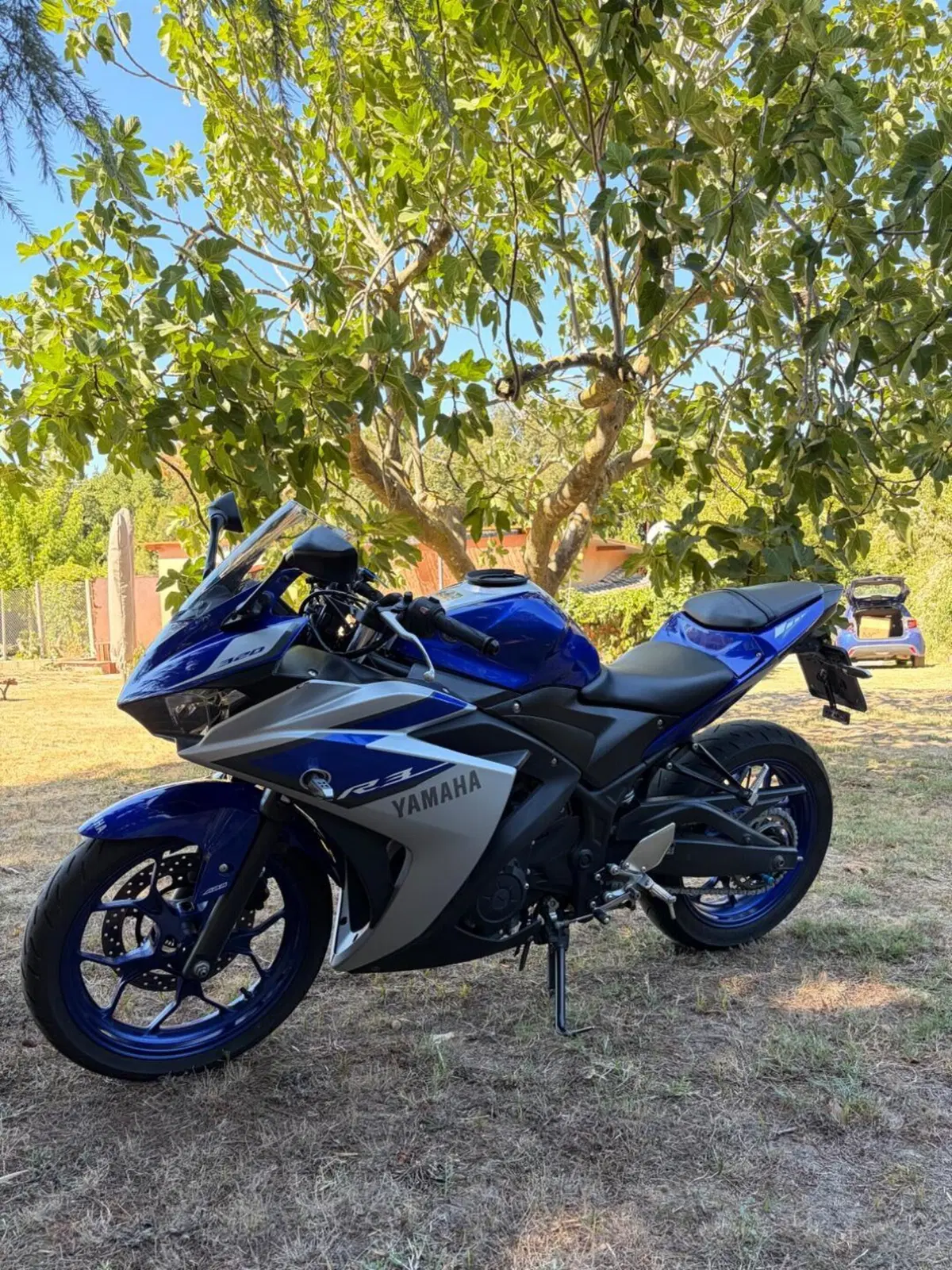 Yamaha YZF R3 (2015 - 17) (5)