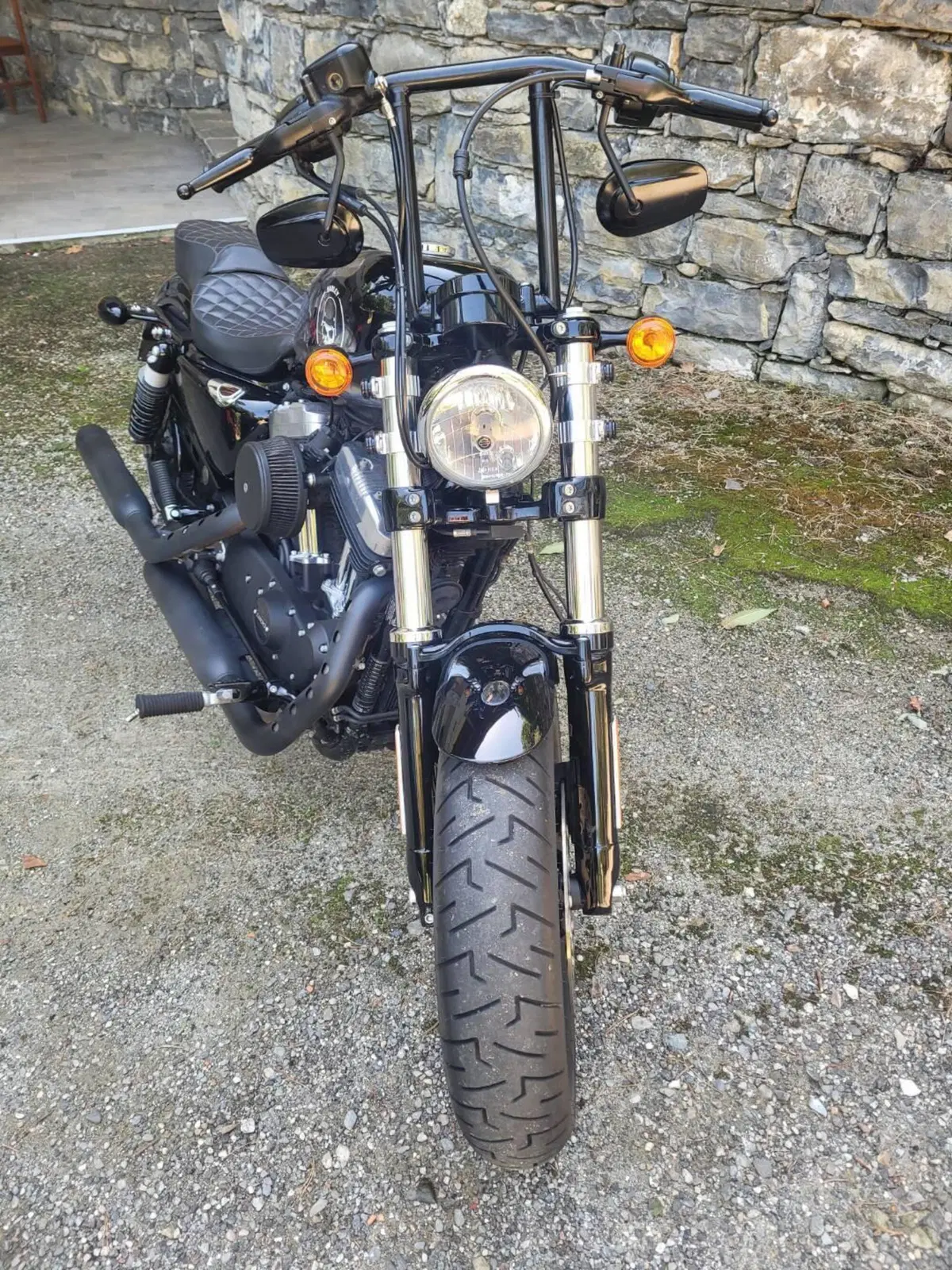 Harley-Davidson 1200 Forty-Eight (2016 - 20) (2)