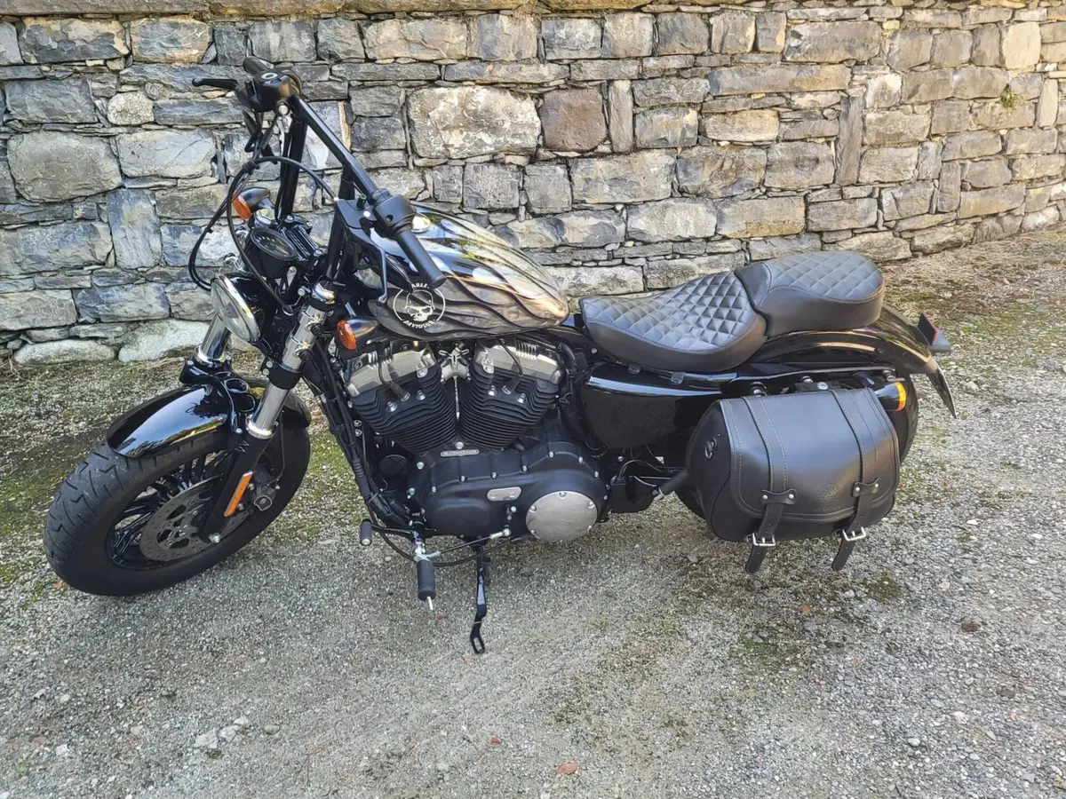 Harley-Davidson 1200 Forty-Eight (2016 - 20) (3)