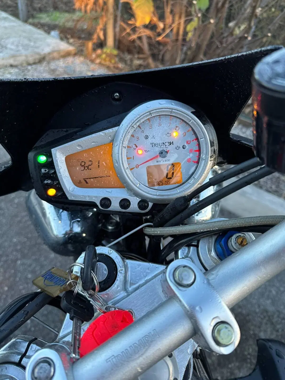 Triumph Speed Triple 1050 (2005 - 11) (3)
