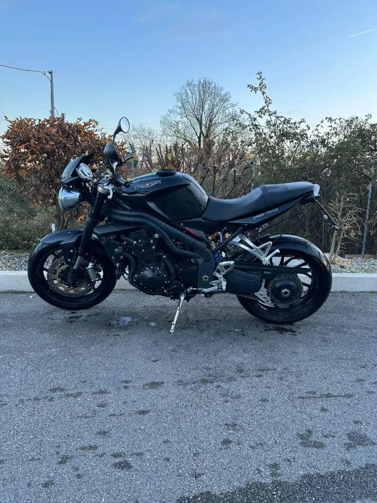Triumph Speed Triple 1050 (2005 - 11) (7)