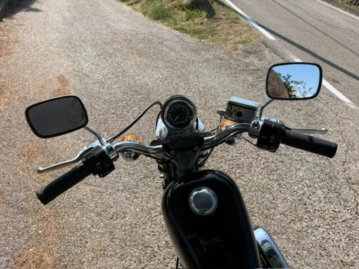 Harley-Davidson XLX 1000 Sportster Ironhead (5)