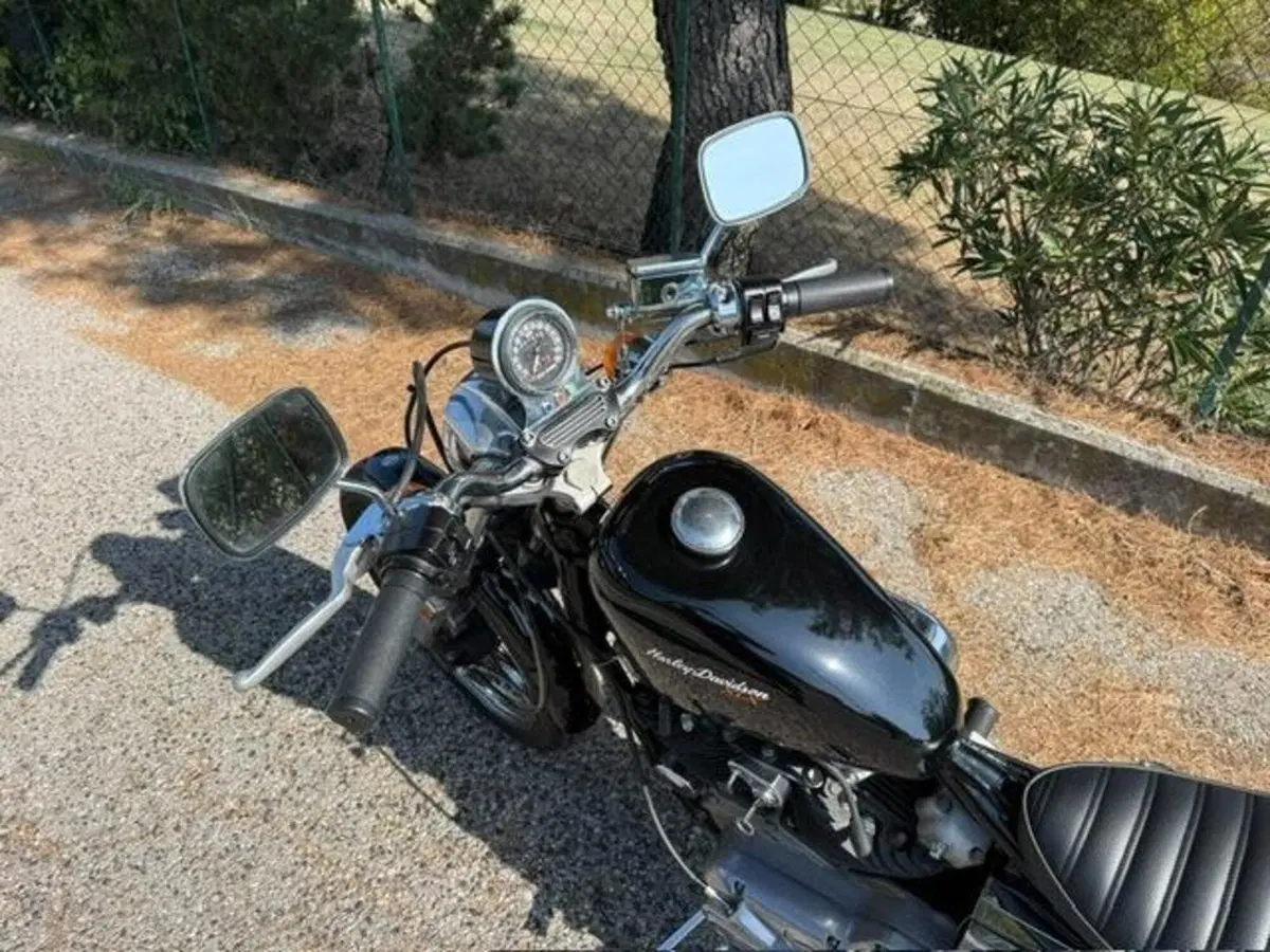 Harley-Davidson XLX 1000 Sportster Ironhead (12)