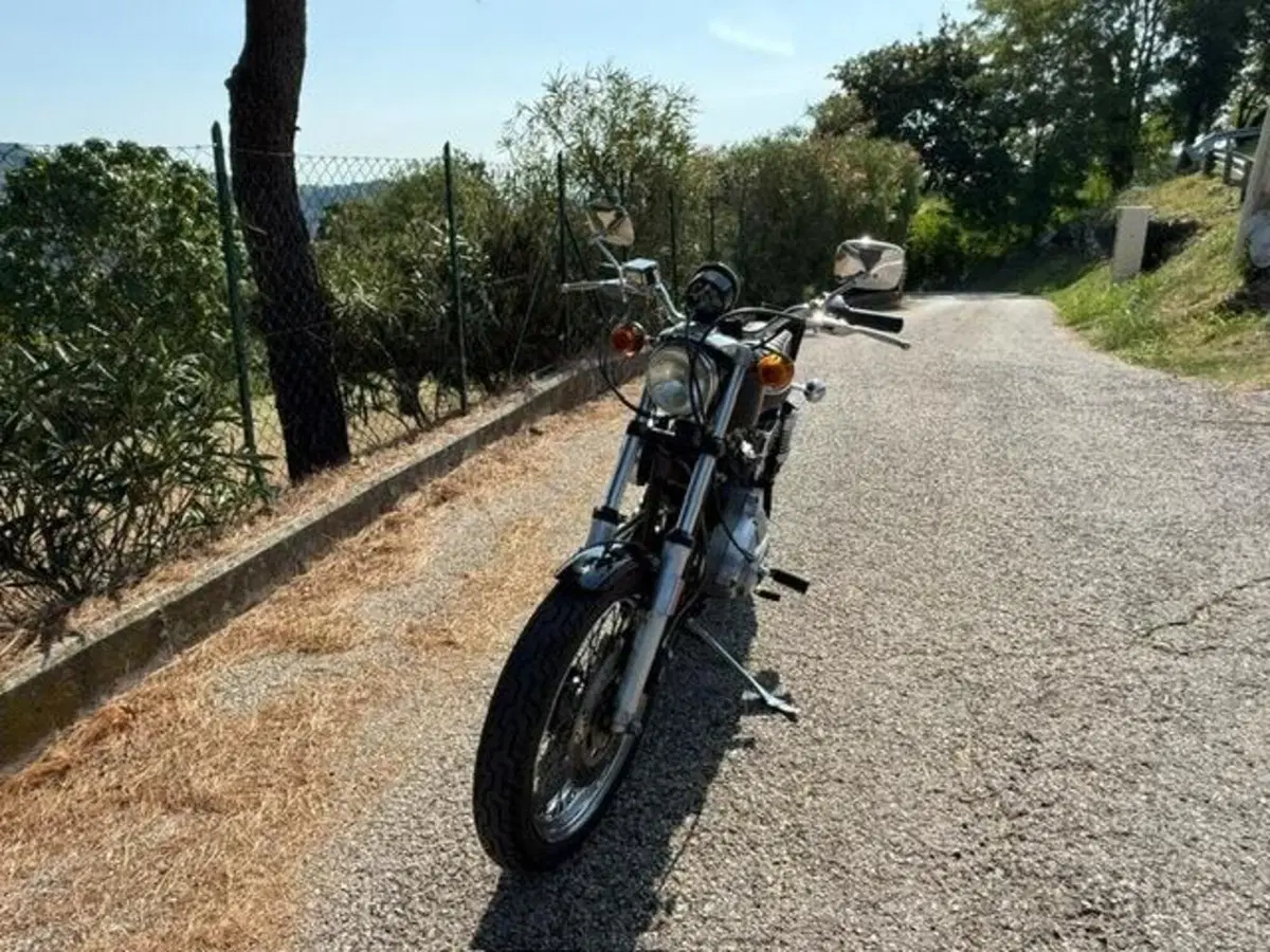 Harley-Davidson XLX 1000 Sportster Ironhead (13)
