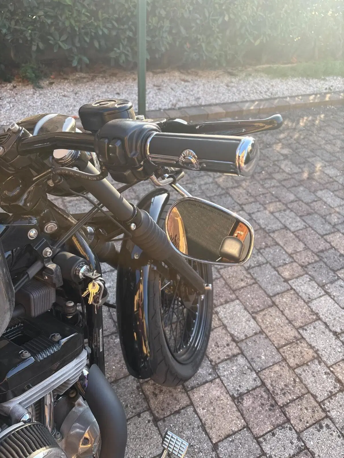 Harley-Davidson 883 Custom (2001 - 05) - XL 53C (5)