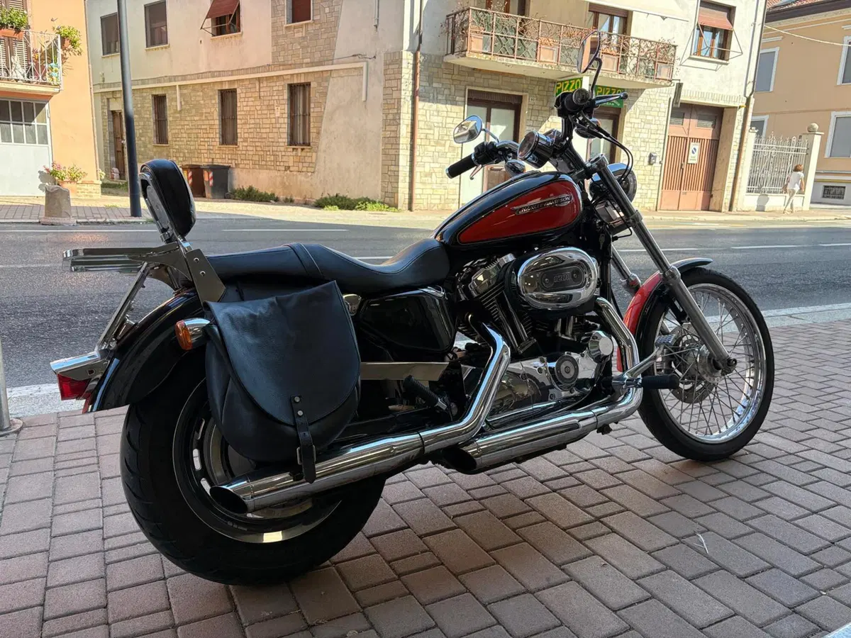 Harley-Davidson 1200 Custom (2007 - 13) - XL 1200C (3)
