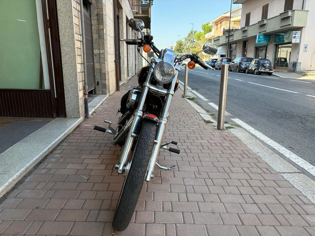 Harley-Davidson 1200 Custom (2007 - 13) - XL 1200C (5)