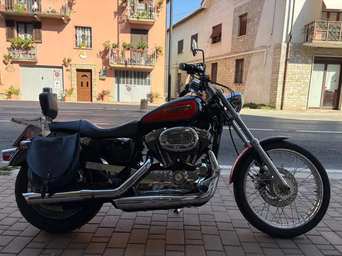 Harley-Davidson 1200 Custom (2007 - 13) - XL 1200C (7)